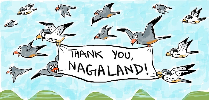 From hunters to protectors