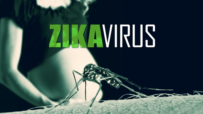 Zika virus may be transmitted through sex