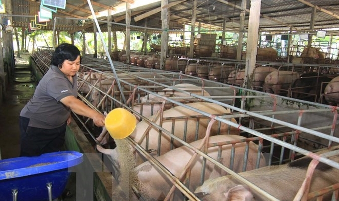 Over Rs 200 Cr. worth of animal husbandry products imported by Nagaland