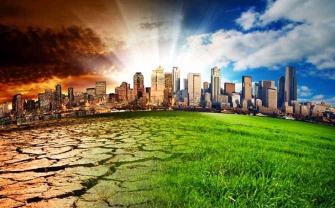 Climate change:  Eating meat is more damaging to the environment