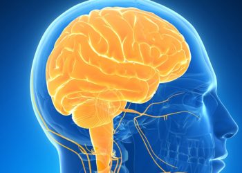 Study finds COVID-19 linked to brain damage