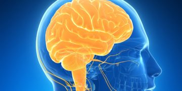 Study finds COVID-19 linked to brain damage