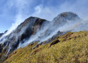 NDRF expresses concern over increasing magnitude of Dzukou valley fire