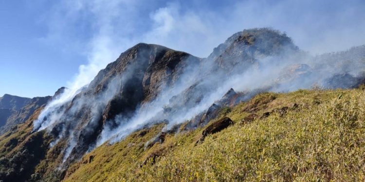 NDRF expresses concern over increasing magnitude of Dzukou valley fire