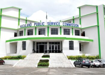 NPSC results declared