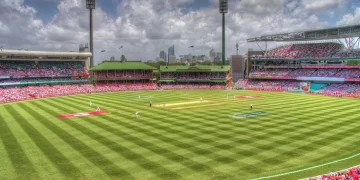 Jane Day, charity cricket game
