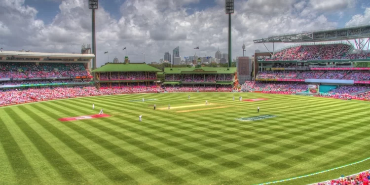 Jane Day, charity cricket game