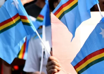 Political Affairs Committee formed to find solution to Naga political issue