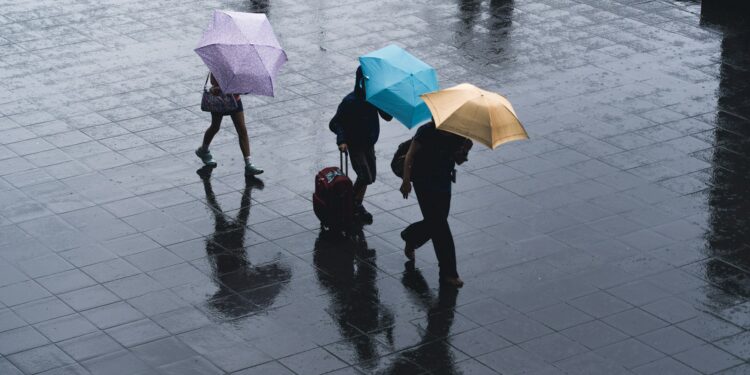 selective color photography of three person holding umbrellas under the rain