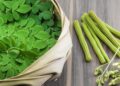 Health Benefits of Moringa, Drumstick