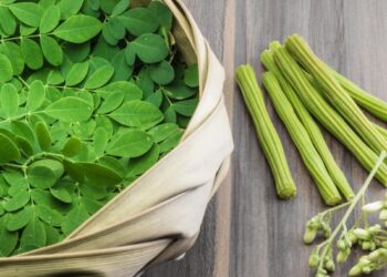 Health Benefits of Moringa, Drumstick