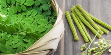 Health Benefits of Moringa, Drumstick