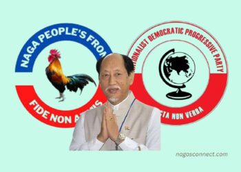 “Regional strategy” behind NDPP–NPF merger