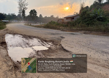 Commuter Raises Safety Concerns Over Dilapidated NH-29 Stretch Between Dillai and Dimapur